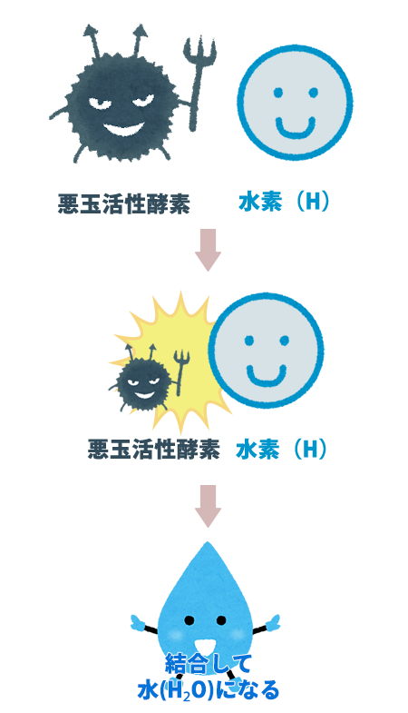 「水素」が「悪玉活性酸素」を水にして〝無毒化″するイメージ図